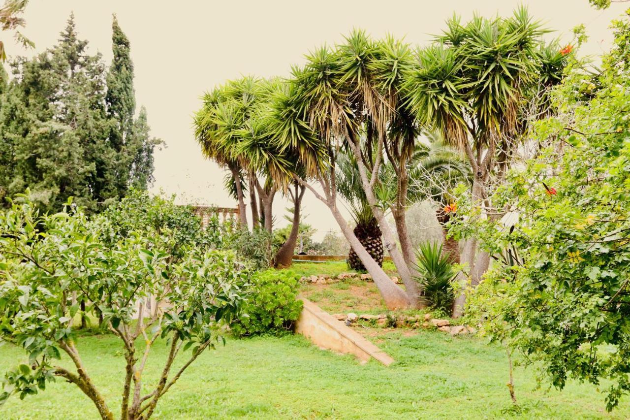 Finca Randa, Llucmayor, Bis 3 Sz, Pool, Garten Llucmajor  Exterior photo
