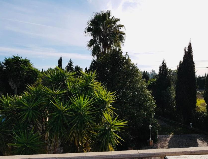 Finca Randa, Llucmayor, Bis 3 Sz, Pool, Garten Llucmajor  Exterior photo
